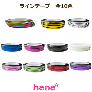 Ce[v S10F 25cm̒ WFlC ZtlC lCT T vf ċx ~x R nhCh H  WH ƕ֗ ֗ObY