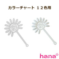 花型カラーチャート 定形外可 色見本 サンプル クリアタイプ ネイルガイド 練習 セルフネイル ネイルサロ…