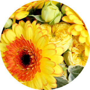 y1P7{IzႤu[PyIׂ5Fzy/̂܂܃u[P/̂܂܃u[P/}WJu[P/~ju[P/ԑ/Mtg/v[g/zCgf[/Əj/wj/jz