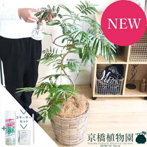 y1P7{IzyX^[^[ZbgtzlmL/Go[tbV@8@oXPbgJo[iuEjty~hTCYz