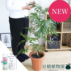 y30P5{IzyX^[^[ZbgtzlmL/Go[tbV@8y~hTCYz