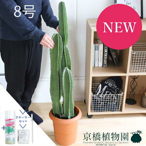 y25P5{IzyubNtCf[N[|LIzyX^[^[ZbgtzT{e@8y~hTCY/ϗtA/CeA//i`/A/蕨/yV/ʔ́zy^z