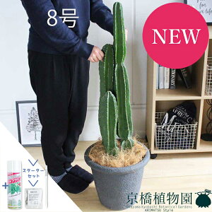 ySSN[|zySSizyX^[^[ZbgtzT{e@8yrAXJo[/ubNzy~hTCYz