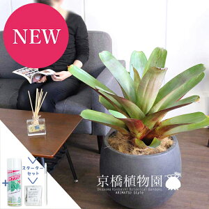 ySSN[|zyX^[^[ZbgtzAJ^AECyAXEuit[ZAjcAiiXyFRPo[Jo[/AeB[NuEz