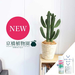 y1P7{IzyX^[^[ZbgtznGXq(X~G{V)/oUCE`T{e@6yoXPbgJo[/AC{[z