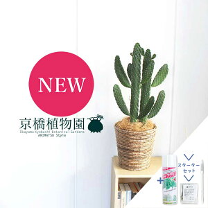 y1P7{IzyX^[^[ZbgtznGXq(X~G{V)/oUCE`T{e@6yoXPbgJo[/uEz