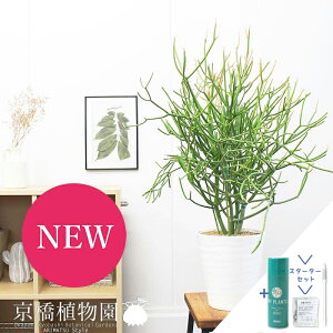 y5P5{IzySSN[|zySSizyX^[^[Zbgtz~NubV(X)@6iZA[gjyTXeB[/SUSTEE/[tN/IB̃`J  lC JXj 