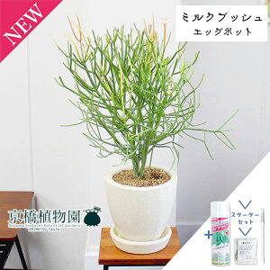 y30P5{IzyX^[^[ZbgtzyGbO|bg/AC{[z~NubViXjy󂯎MtzyՂ肽܂^̔z