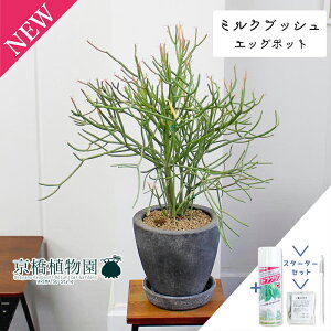 y30P5{IzyX^[^[ZbgtzyGbO|bg/ubNz~NubViXjy󂯎MtzyՂ肽܂^̔z