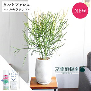 y30P5{IzyX^[^[Zbgtzy}Ehg[LTCYz~NubViXjy󂯎Mtzyȃ^zyX^CbVz