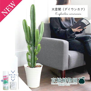 y30P5{IzyX^[^[Zbgtz_ti_CEJNj7y~hTCY/CeA/j/JXj/zj/Vzj/Mtg/v[g/Ă₷/ϗtA/yV/ʔ/^/