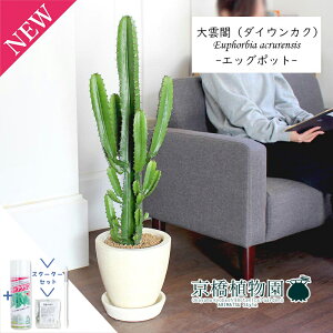 yX^[^[ZbgtzyGbO|bg/AC{[z_ti_CEJNj7y󂯎MtzyՂ肽܂^̔zy~hTCY/CeA/j/Mtg/v[g/Ă₷