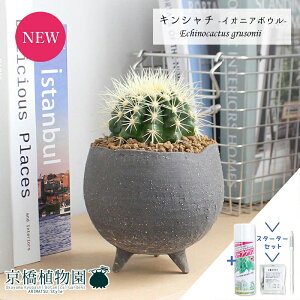 y1P7{IzyX^[^[ZbgtzyCIjA{EL/O[zT{e ́iLV`jy󂯎MtzyϗtA@CeA  lC zj JXj Vzj j