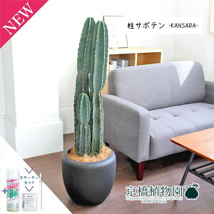 y1P7{IzyX^[^[ZbgtzT{e3{8yJTJo[t/ubNzy~hTCY/ϗtA/CeA//i`/A/蕨/yV/ʔ/TXeB