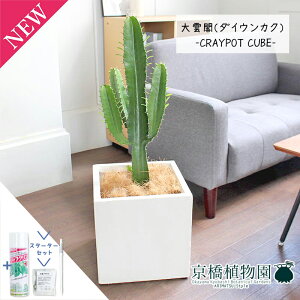 yX^[^[Zbgtz_ti_CEJNj7yNC|bgL[uJo[t/zCgzy~hTCY/CeA/j/JXj/zj/Vzj/Mtg/v[g/