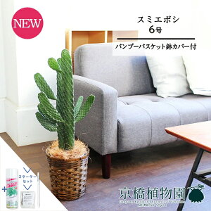 y1P7{IzyX^[^[Zbgtzyou[oXPbgJo[znGXq(X~G{V)/oUCE`T{e@6y󂯎Mtzy~hTCY/uE/Mtg/v[g/j