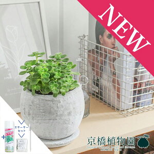 y30P5{IzyX^[^[Zbgtzy[b^{ESTCY/zCgzn[u A}eBJXy󂯎MtzyƂ^z