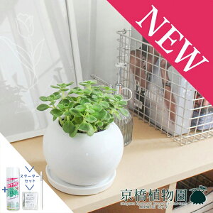 y30P5{IzyX^[^[Zbgtzy픫zn[u A}eBJXy󂯎MtzyCeA  lC yV ʔ Mtg v[gz