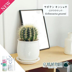 y30P5{IzyX^[^[ZbgtzyXeEhMzT{e ́iLV`jy󂯎Mtz4GyϗtA@CeA  lC zj JXj Vzj j y