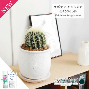 y30P5{IzyX^[^[ZbgtzyXeEhLzT{e ́iLV`jy󂯎Mtz3.5GyϗtA@CeA  lC zj JXj Vzj j 