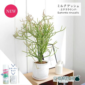 y30P5{IzyX^[^[ZbgtzyXeEhLz~NubV(X) y󂯎MtzyϗtA@CeA  lC zj JXj Vzj j yV ʔ