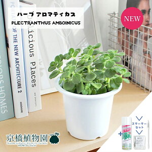 y30P5{IzyX^[^[Zbgtzn[u A}eBJX 4yA CeA  lC zj JXj Vzj j yV ʔ Aϗt Mtg v[g X[