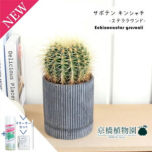 y30P5{IzyX^[^[ZbgtzyJgS/ubNzT{e ́iLV`jy󂯎Mtz5GyϗtA/CeA//i`/A/蕨/yV/ʔ/X[