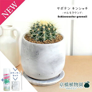 yX^[^[Zbgtzy}EhMTCYzT{e ́iLV`jy󂯎Mtz4GyϗtA/CeA//i`/A/蕨/yV/ʔ/X[TCY/