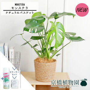 ySSizyX^[^[Zbgtzyi`oXPbgJo[zXe@5y󂯎MtzyVv ~hTCY GL]`bN I j zj JXj Vzj 