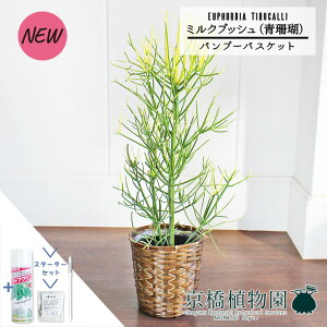 y5P5{IzySSN[|zySSizyX^[^[Zbgtzyou[oXPbgJo[z~NubViXj7y~hTCY/CeA/j/JXj/zj/