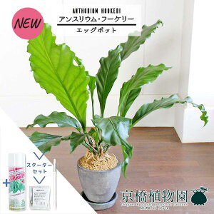 yX^[^[ZbgtzyGbO|bg/ubNzAXEEt[P[@7GyՂ肽܂^̔zyϗtA/CeA//i`/A/蕨/yV/ʔ/~hT