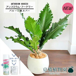 yX^[^[Zbgtzyo[Jo[t/AeB[NzCgzAXEEt[P[@10yϗtA/CeA//i`/A/蕨/yV/ʔ/[WTC