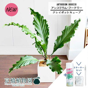 y5P5{IzySSN[|zyX^[^[ZbgtzAXEEt?P[ 8yNC|bgL[uJo[t/zCgzy~hTCYz