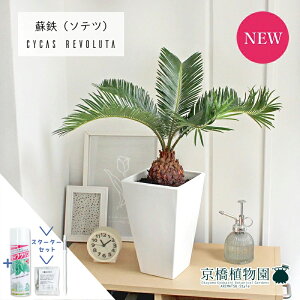 y1P7{IzyX^[^[ZbgtzhSi\ecj 6 XNGAyϗtA/CeA//i`/A/蕨/yV/ʔ/~hTCY/zCg/Ă₷/lCi/