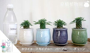 yX^[^[ZbgtzhSiفi\ecLj/SbiKrbeREjyXeEhSSzy픫zyCeA  lC yV ʔ Mtg v[g/TXeB[/SUSTEE/