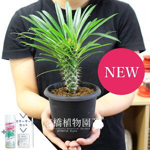 yX^[^[ZbgtzpL|fBE E[iCj 3.5@yA CeA  lC zj JXj Vzj j yV ʔ Aϗt Mtg v[g X