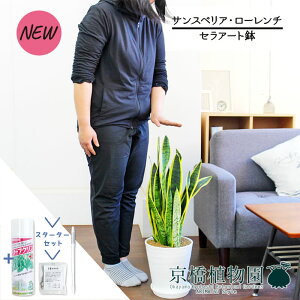 y1P7{IzyX^[^[ZbgtzyZA[gzTXxAE[`@7yTXeB[/SUSTEE/[tN/IB̃`J/ϗtA/CeA//i`/A/