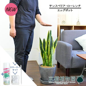 yX^[^[ZbgtzyGbO|bg/ubNzyՂ肽܂^̔zTXxAE[`yTXeB[/SUSTEE/[tN/IB̃`J/ϗtA/CeA//i`