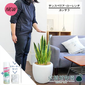 yX^[^[ZbgtzyJTJo[t/zCgzTXxAE[`@7yTXeB[/SUSTEE/[tN/IB̃`J/ϗtA/CeA//i`/A/