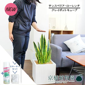 yX^[^[ZbgtzyNC|bgL[uJo[t/zCgzTXxAE[`@7yTXeB[/SUSTEE/[tN/IB̃`J/ϗtA/CeA//i`