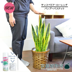 y1P7{IzyX^[^[Zbgtzyou[oXPbgJo[zTXxAE[`@7yTXeB[/SUSTEE/[tN/IB̃`J/ϗtA/CeA//i`