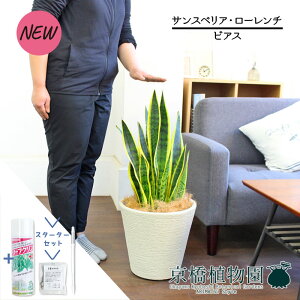 yX^[^[ZbgtzyrAXJo[t/zCgzTXxAE[`@7yTXeB[/SUSTEE/[tN/IB̃`J/ϗtA/CeA//i`/A/