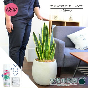 yX^[^[Zbgtzyo[Jo[t/AeB[NzCgzTXxAE[`@7yTXeB[/SUSTEE/[tN/IB̃`J/ϗtA/CeA//i`