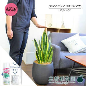 yX^[^[Zbgtzyo[Jo[t/AeB[NuEzTXxAE[`@7yTXeB[/SUSTEE/[tN/IB̃`J/ϗtA/CeA//i`