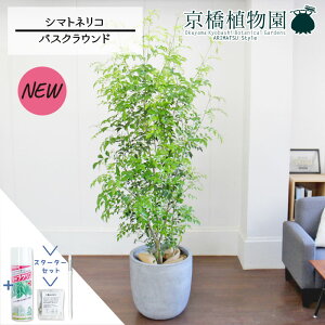 yX^[^[ZbgtzV}glR 10yoXNEhJo[/O[zy[WTCYzyTXeB[/SUSTEE/[tN/IB̃`Jz