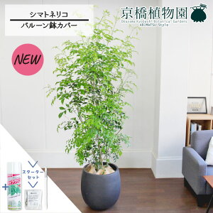 yX^[^[ZbgtzV}glR 10yo[Jo[t/AeB[NuEzy[WTCYzyTXeB[/SUSTEE/[tN/IB̃`Jz