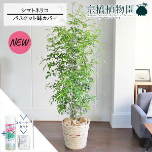 y1P7{IzyX^[^[ZbgtzV}glR 10yoXPbgJo[/AC{[zy[WTCYzyTXeB[/SUSTEE/[tN/IB̃`Jz