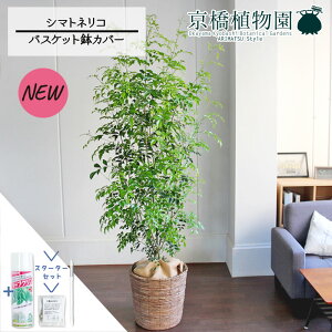 y30P5{IzyX^[^[ZbgtzV}glR 10yoXPbgJo[/uEzy[WTCYzyTXeB[/SUSTEE/[tN/IB̃`Jz