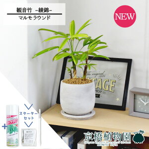 yX^[^[Zbgtzy}EhMzω|iJm`Nj --@yϗtA/CeA//i`/A/蕨/yV/ʔ/X[TCY/lCi/Mtg/v[