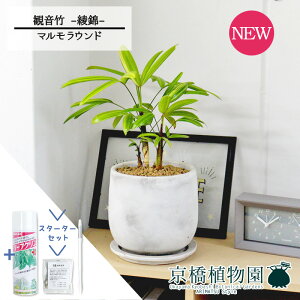 yX^[^[Zbgtzy}EhLzω|iJm`Nj --@yϗtA/CeA//i`/A/蕨/yV/ʔ/X[TCY/lCi/Mtg/v[